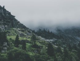 Aktywność ruchowa - Karkonosze latem