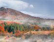 mikroklimat Bieszczady