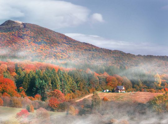mikroklimat Bieszczady