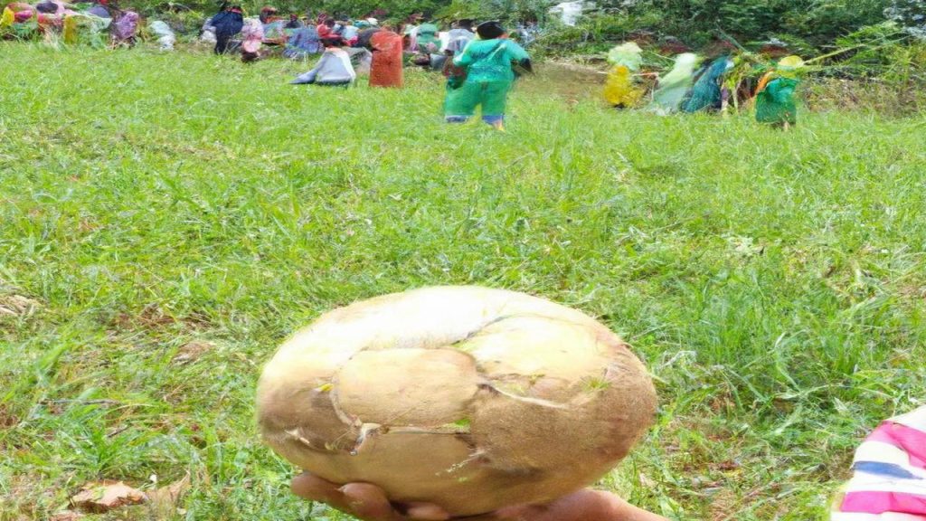 Co Ile są mistrzostwa świata w piłce nożnej