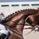 Czy hobby horsing to sport?